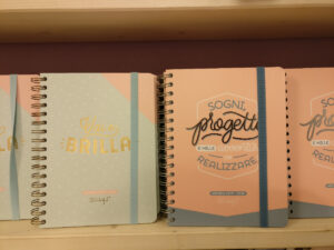 agende mr wonderful 2018