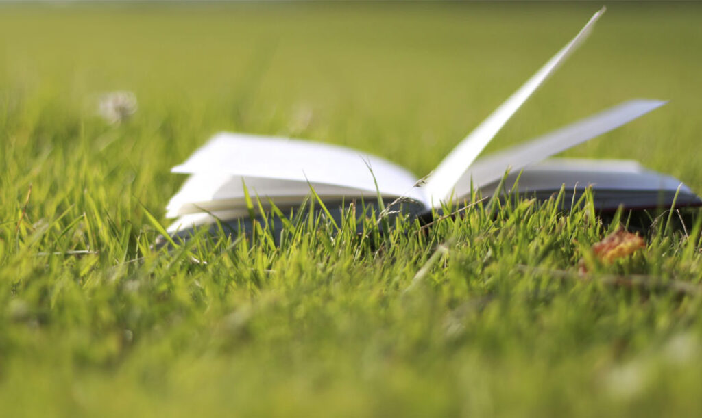 I libri non sono acquistabili singolarmente. Iniziativa valida fino ad esaurimento scorte.