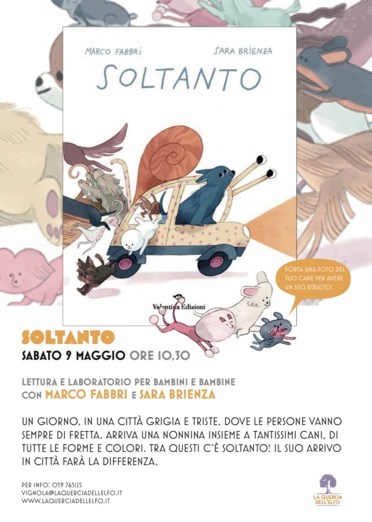 MARCO FABBRI PRESENTA SOLTANTO immagine decorativa